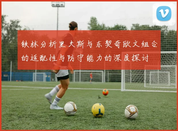 铁林分析里夫斯与东契奇欧文组合的适配性与防守能力的深度探讨