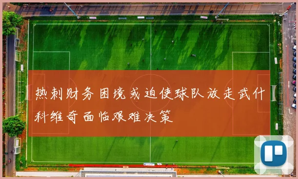 热刺财务困境或迫使球队放走武什科维奇面临艰难决策